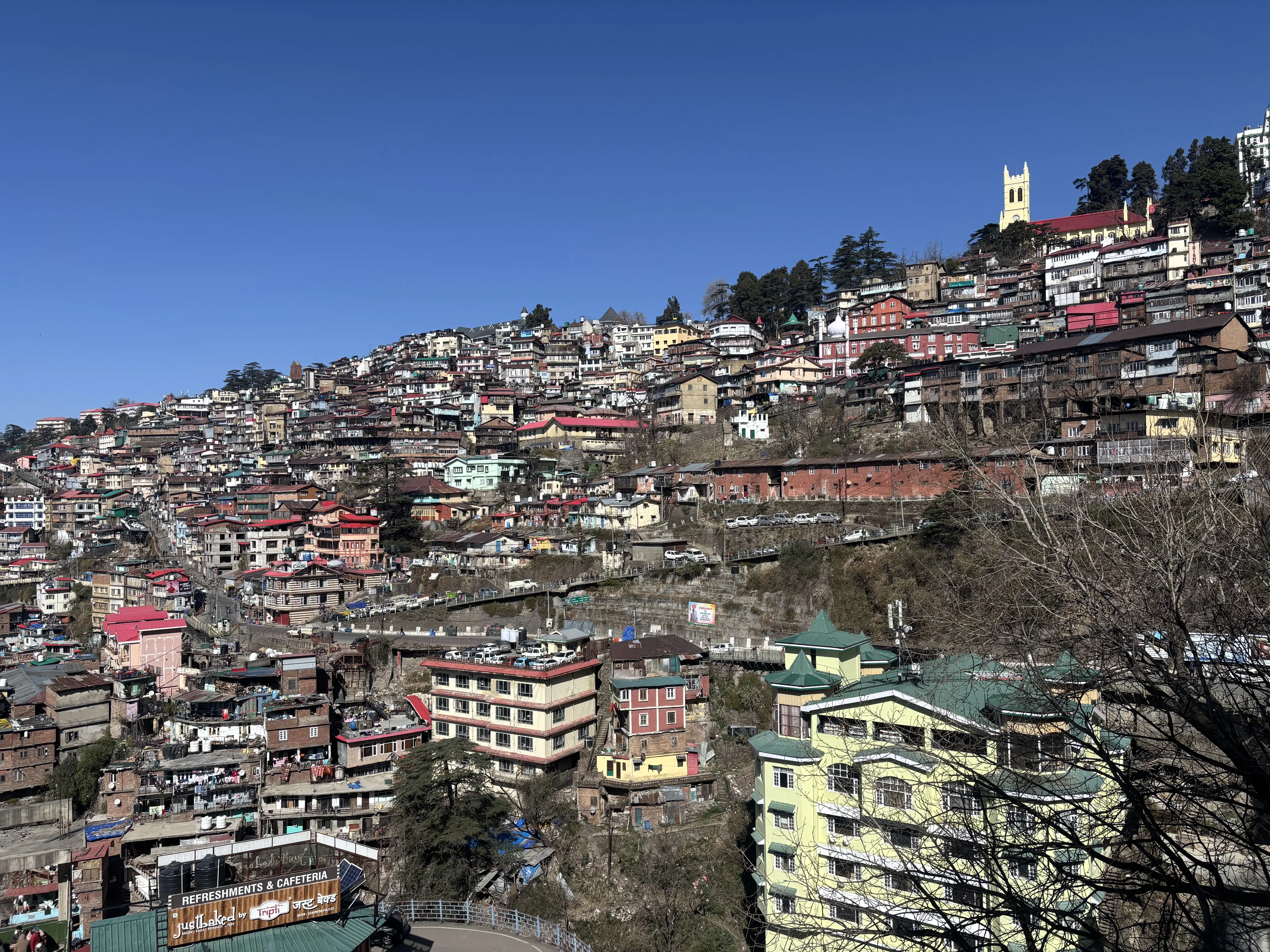 Shimla's dense hillside beneath a clear blue sky